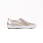 36 / PURE WHITE/GOLD