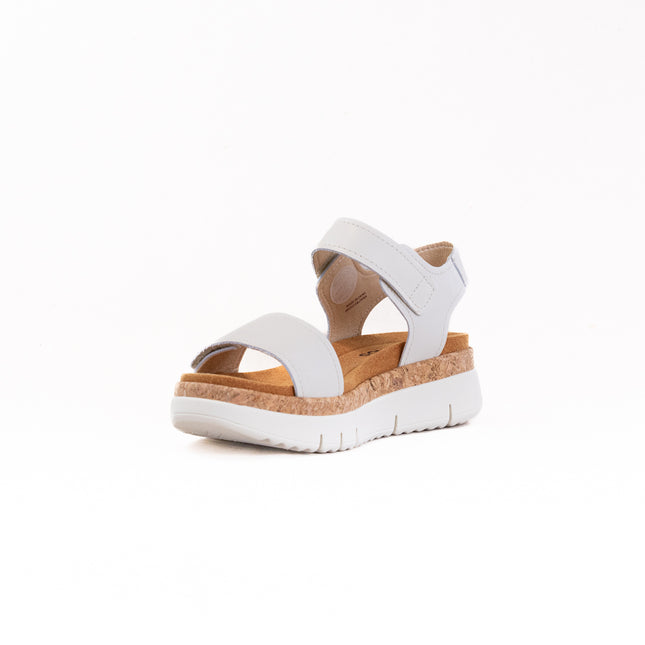 Pikolinos Palma W4N-0940 (Women's) - Nata