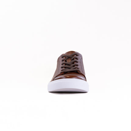 Ecco Soft 10 Lace Up Sneaker (Men's) - Cognac
