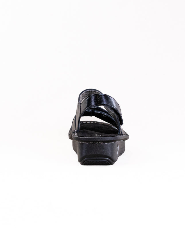 Alegria Kelsi (Women's) - Black Sapphire