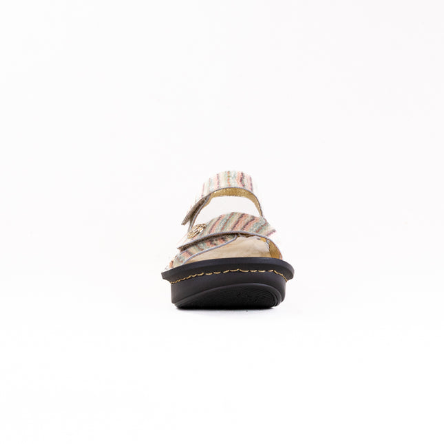 Alegria Kelsi (Women's) - Spumoni
