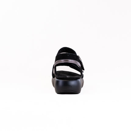 Alegria Blinda (Women's) - Black