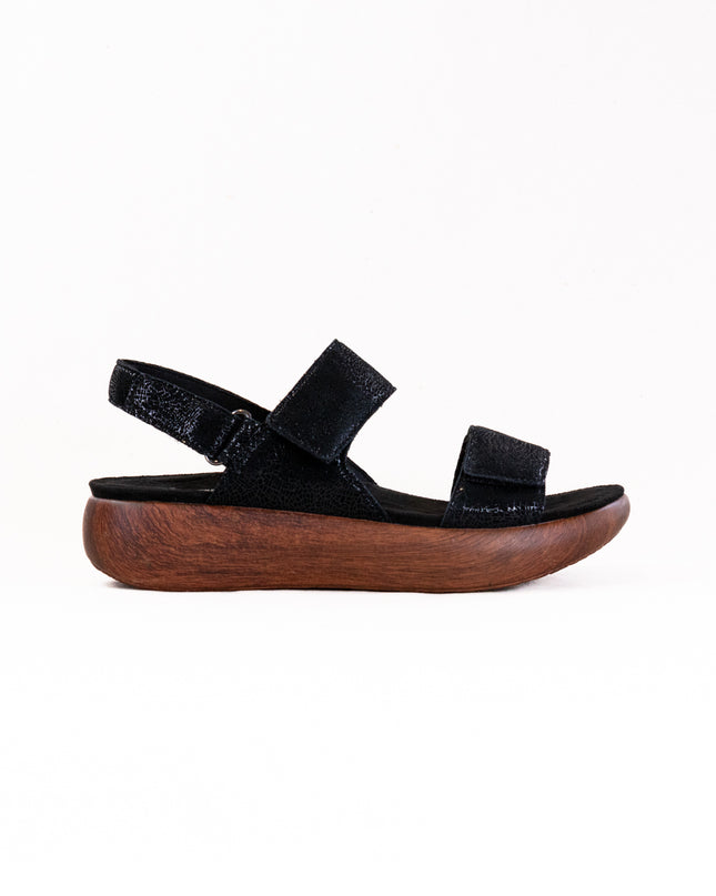 Alegria Bailee (Women's) - Crackle Black