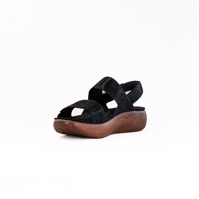 Alegria Bailee (Women's) - Crackle Black
