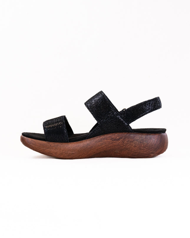 Alegria Bailee (Women's) - Crackle Black