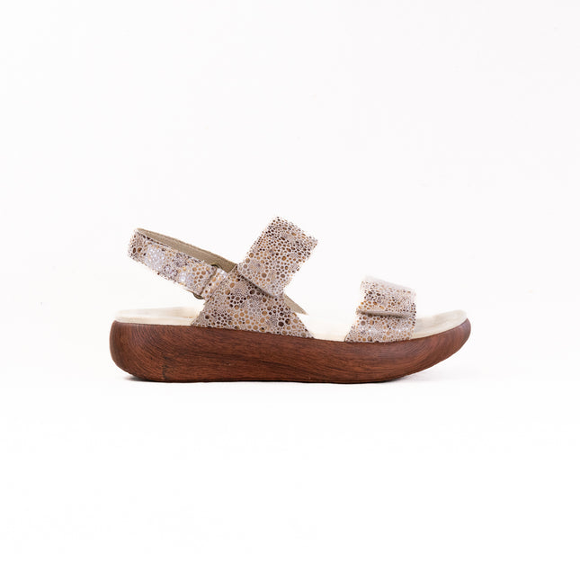 Alegria Bailee (Women's) - Walkaway