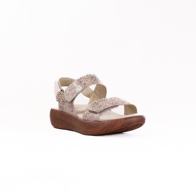 Alegria Bailee (Women's) - Walkaway