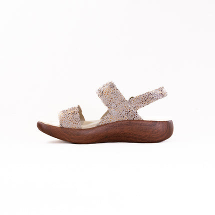 Alegria Bailee (Women's) - Walkaway