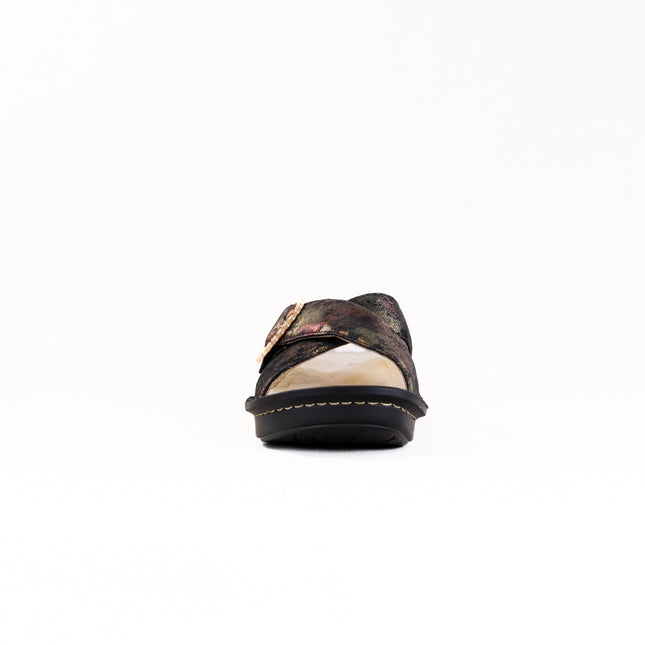 Alegría Vanya (Women’s) - Moon Shadow Gold