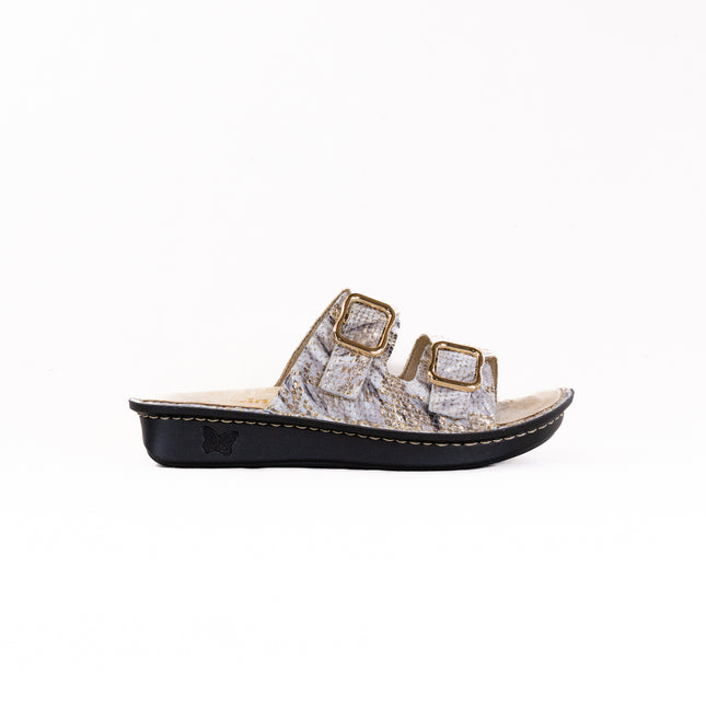 Alegria Verah (Women's) - Hoity Toity