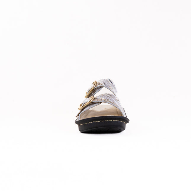Alegria Verah (Women's) - Hoity Toity