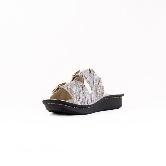 Alegria Verah (Women's) - Hoity Toity