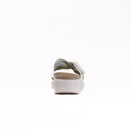 Alegria Rylie (Women's) - Iced Cream