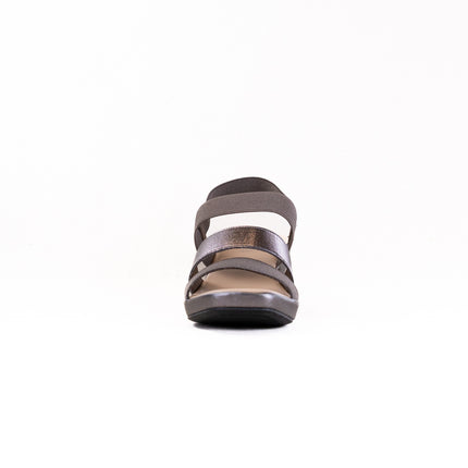 Patrizia Marzula (Women's) - Pewter