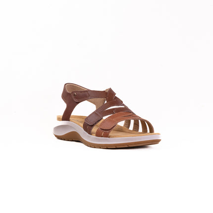 Clarks Maelynn Paige (Women's) - Tan Combi
