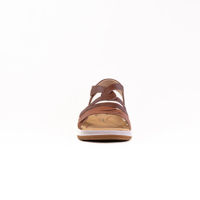 Clarks Maelynn Paige (Women's) - Tan Combi
