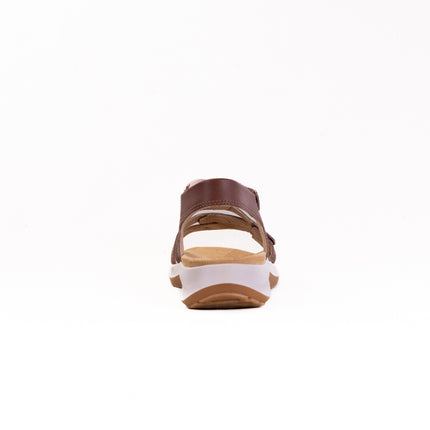Clarks Maelynn Paige (Women's) - Tan Combi