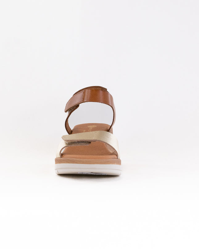 Eric Michael Caroline (Women's) - Tan/Gold