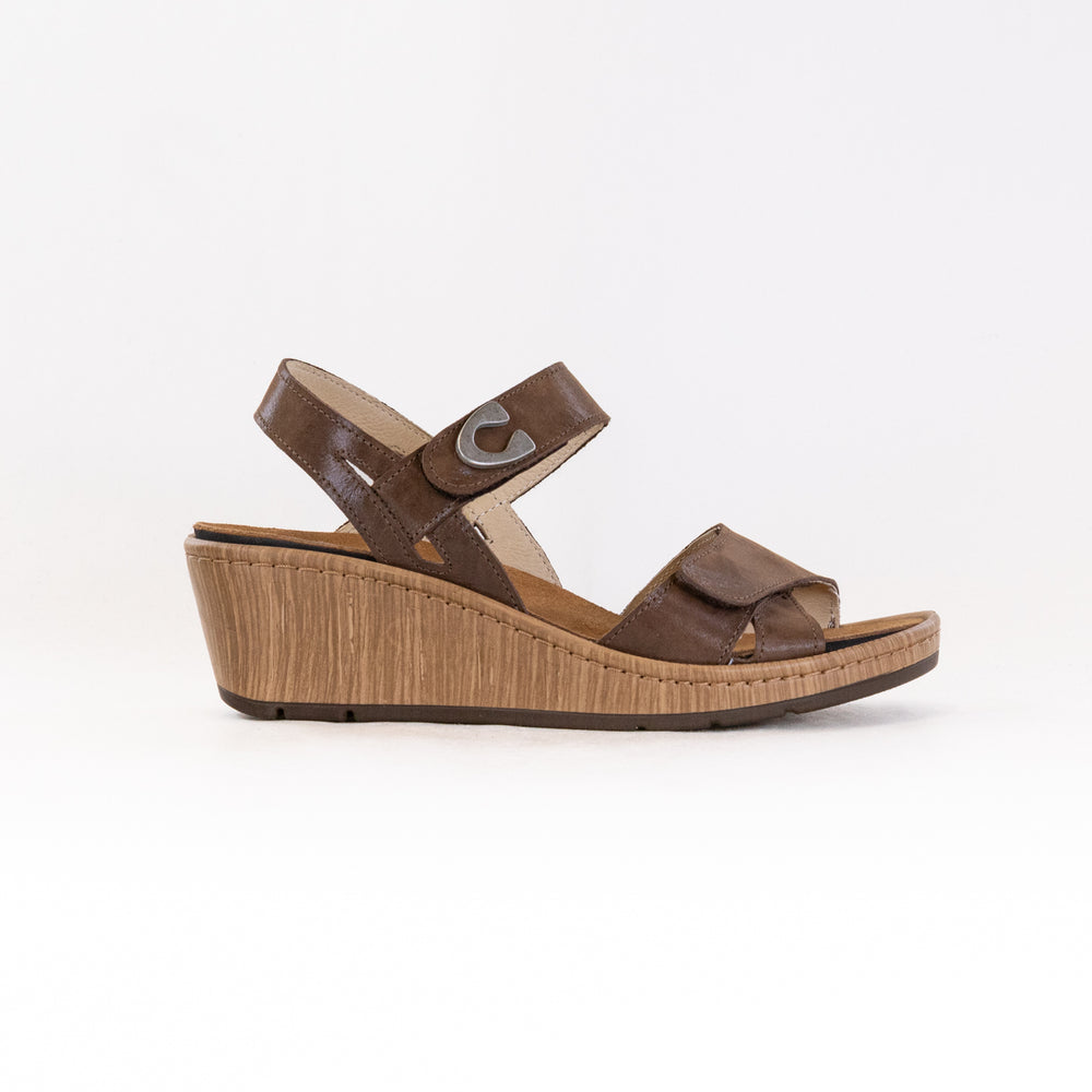 Wolky Sanibel (Women's) - Cedar Brown