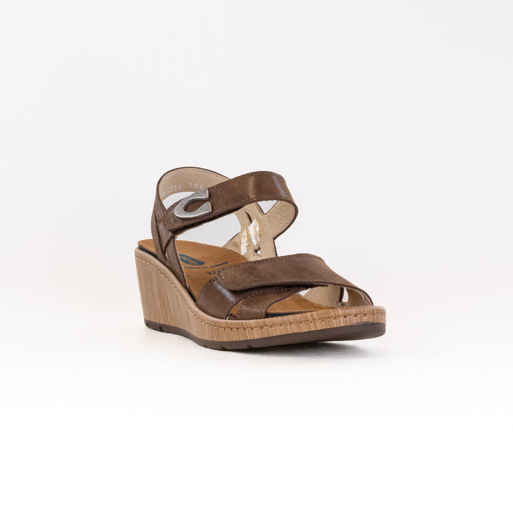 Wolky Sanibel (Women's) - Cedar Brown