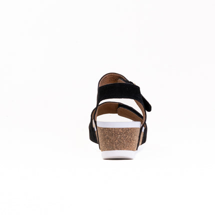 Josef Seibel Quinn 16 (Women's) - Black