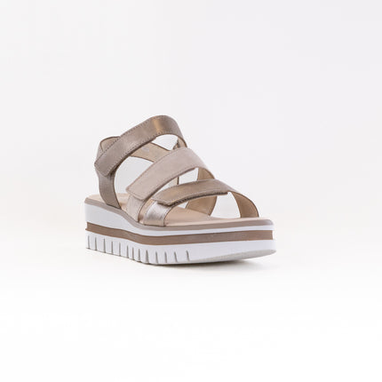 Gabor 64.620 Sandal (Women's) - Mutaro Kombi