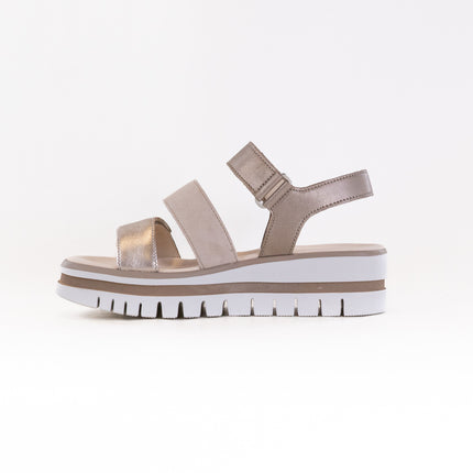 Gabor 64.620 Sandal (Women's) - Mutaro Kombi