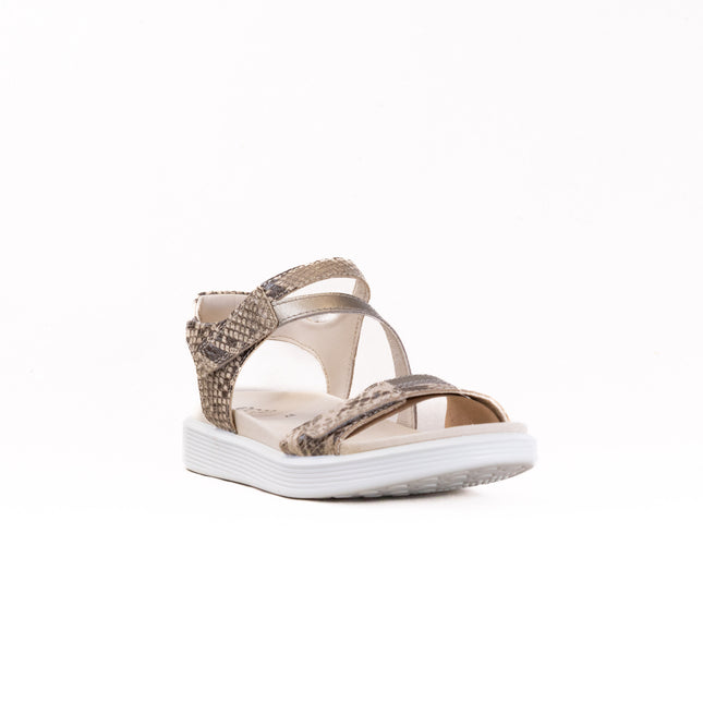 ECCO Soft Sandal (Women's) - Python/Pure Cashmere Metallic