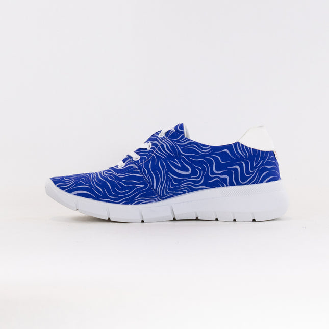 Arcopedico L76 (Women's) - Blue