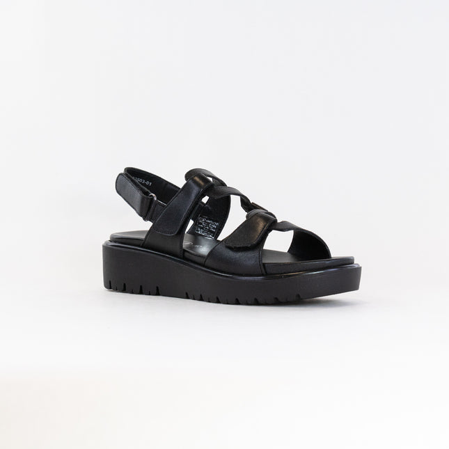 Ara Bayview Sandal (Women's) - Black