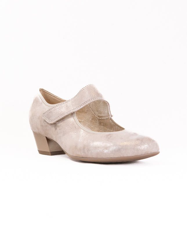 Ara Calico II  (Women's) - Shell