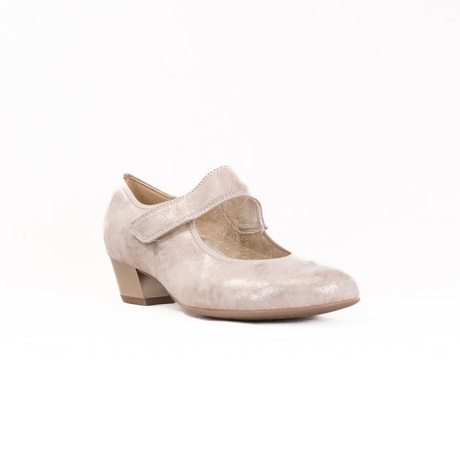 Ara Calico II  (Women's) - Shell