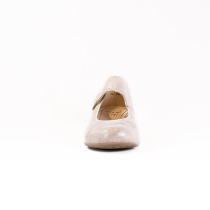 Ara Calico II  (Women's) - Shell