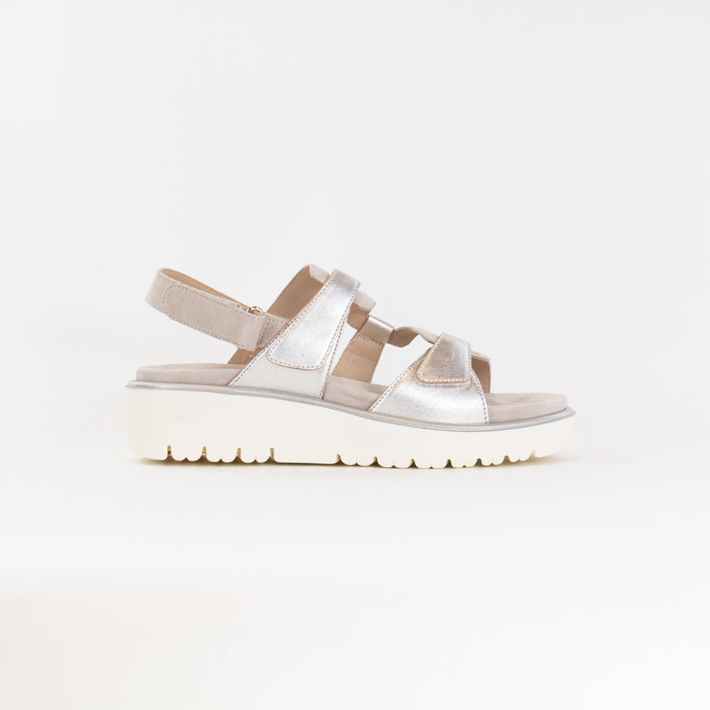 Ara Bayview Sandal (Women's) - Platinum/Sand