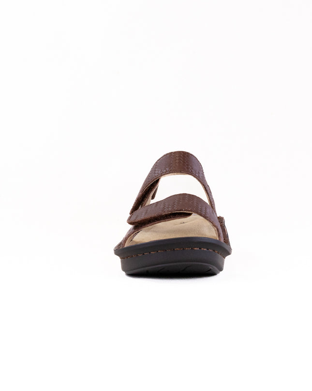 Alegria Verona (Women's) - Basketry Coffee