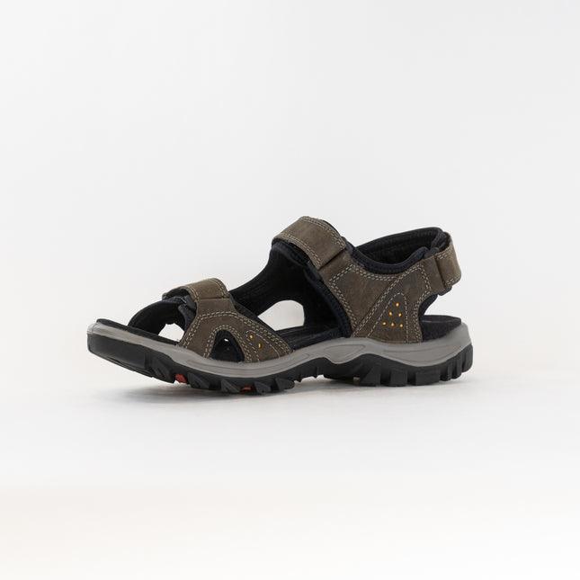 ECCO Offroad Sandal (Men's) - Dark Clay