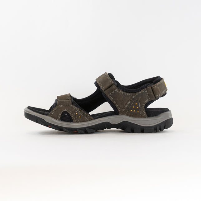 ECCO Offroad Sandal (Men's) - Dark Clay