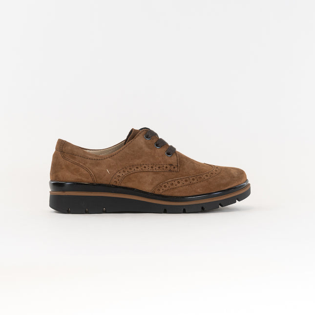 Fidelio Brogue 505102 (Women's) - Moldovo Nubuck