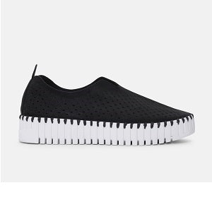 Ilse Jacobsen TULIP3373 (Women's) - Black