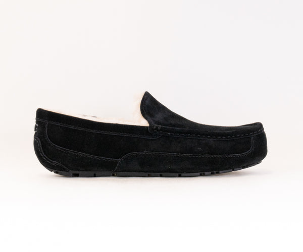 UGG Ascot (Men display picture 1