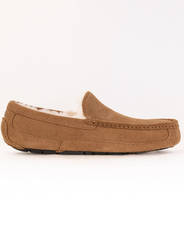UGG Ascot (Men's) - Chestnut
