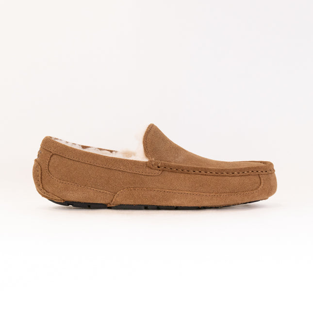 UGG Ascot (Men's) - Chestnut