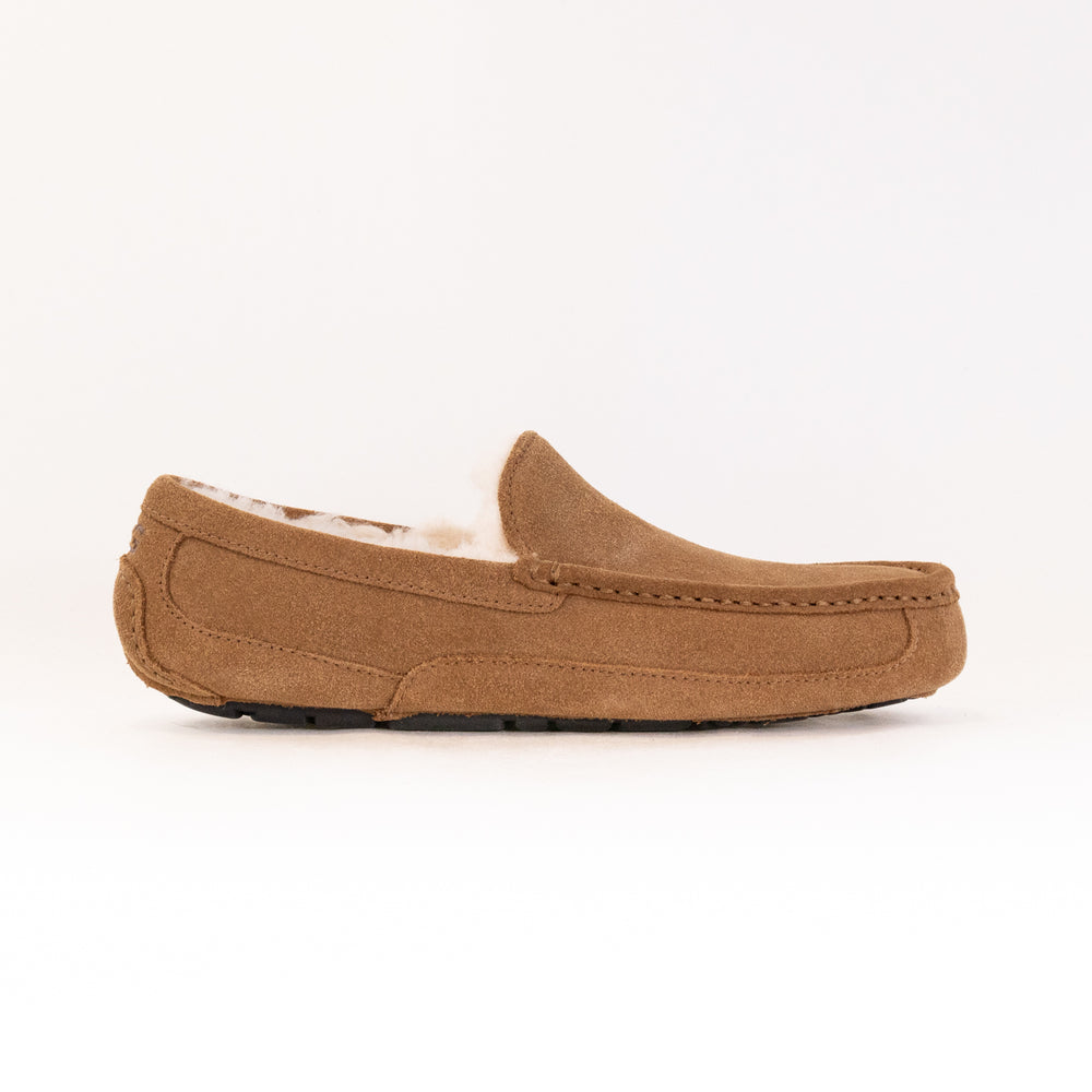 UGG Ascot (Men's) - Chestnut