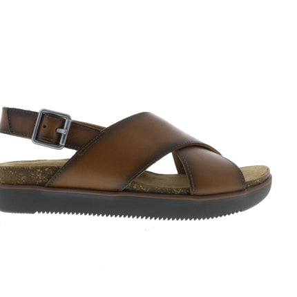 Clarks Elayne Cross (Women's) - Brown Leather