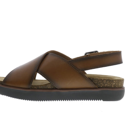 Clarks Elayne Cross (Women's) - Brown Leather