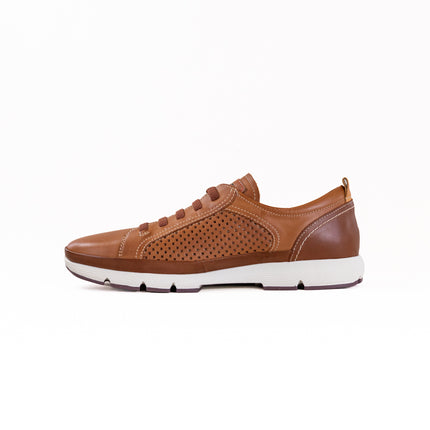 Pikolinos Fuencarral M4A-6376C1 (Men's) - Brandy