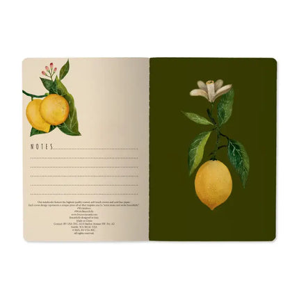 BV by Bruno Visconti A5 Notebook - Lemons