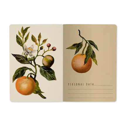 BV by Bruno Visconti A5 Notebook -  Oranges and Blossoms