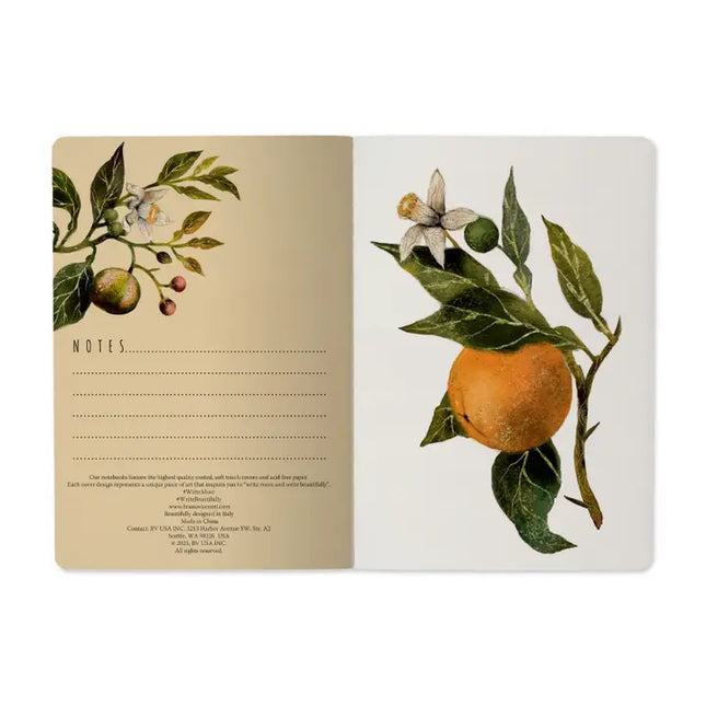 BV by Bruno Visconti A5 Notebook -  Oranges and Blossoms