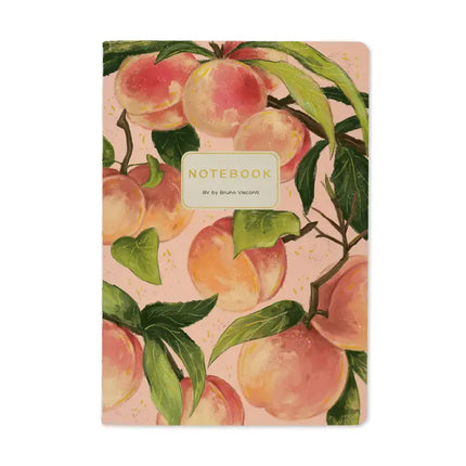 BV by Bruno Visconti A5 Notebook - Peaches